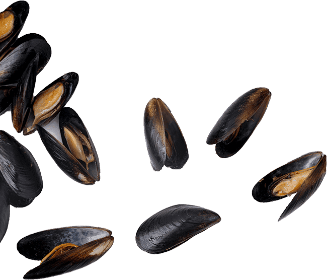 ristorante cesenatico cozze sparpagliate